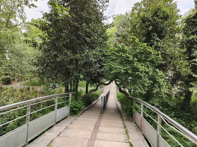 IMG20240512155704