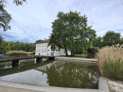 IMG20240512155952