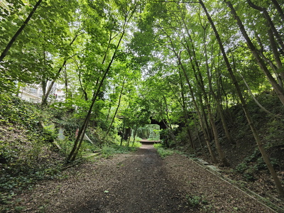 IMG20240602153153