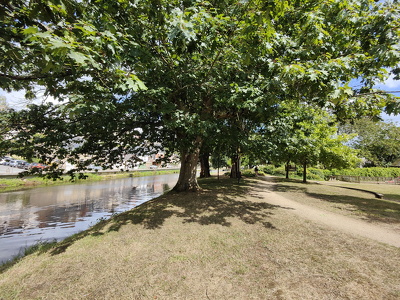 IMG20240824155833