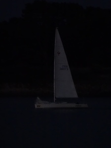 DSC07338