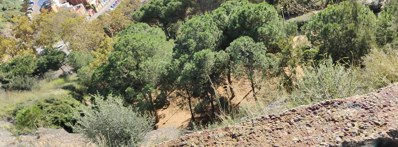 IMG20241111124809 01