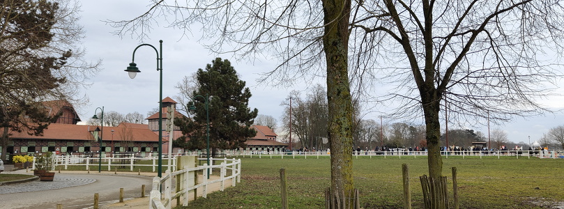 IMG20250209153734
