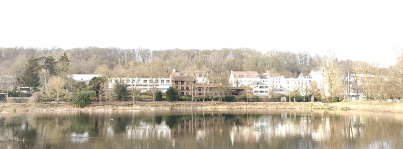 IMG20250209162038