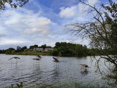 IMG20250525161555