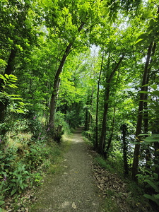 IMG20250525161926