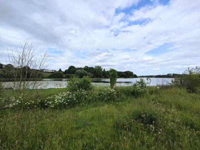 IMG20250525172436