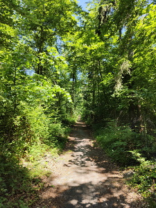 IMG20250530122231