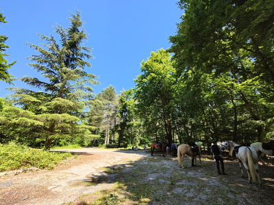 IMG20250530130618