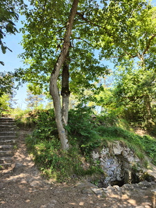 IMG20250530131404