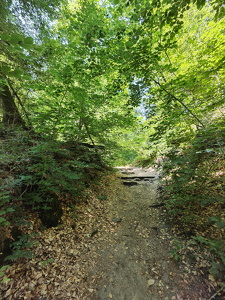 IMG20250530131806