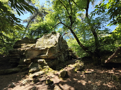 IMG20250530133131