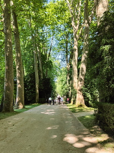 IMG20250530154055
