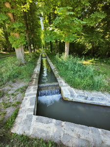 IMG20250530160706