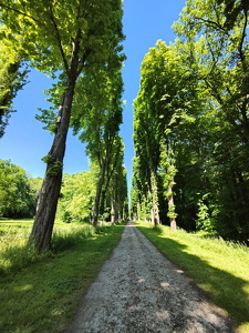 IMG20250530161154
