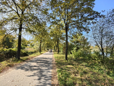 IMG20251012123701