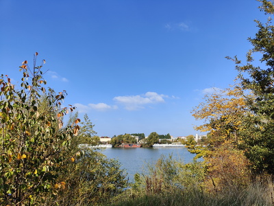 IMG20251012130329