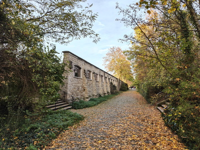 IMG20251111162443