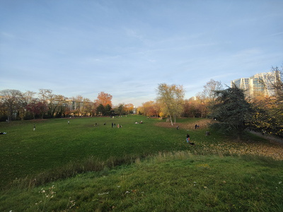 IMG20251111164805