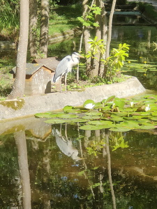 IMG20260614175142
