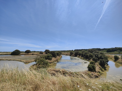 IMG20260630152347