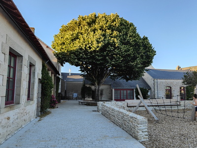 IMG20260701210120