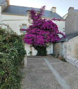 IMG20260701210558