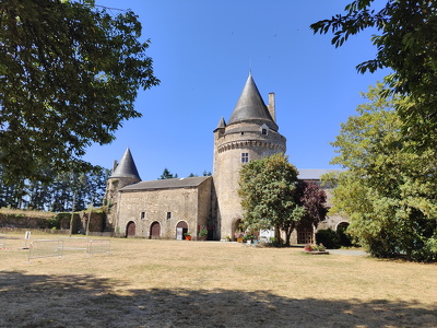 IMG20260704113833