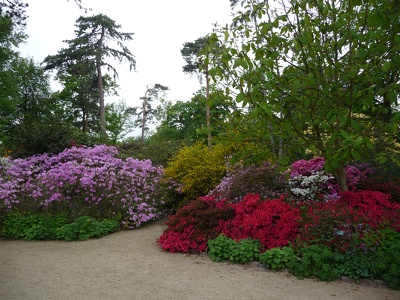 Parc floral de Vincennes