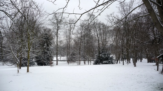 Parc de Bois-Préau sous la neige