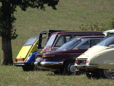 Exposition de voitures anciennes à Saulnières