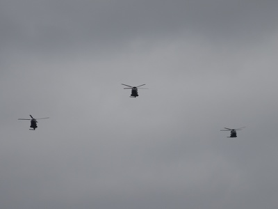 Défilé aérien du 14/07/2019 : Les hélicoptères