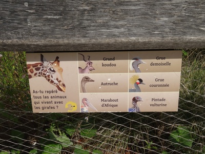 Pancarte "Girafe", "Grand koudou", "Grue demoiselle", "Autruche"