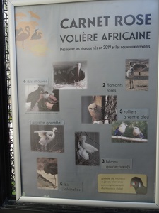 Pancarte "Volière africaine"