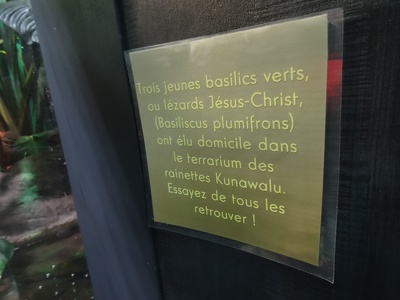 Pancarte "Lézard Jésus-Christ"