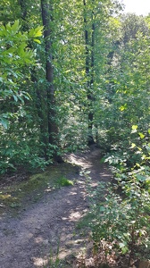 Forêt domaniale de Rueil-Malmaison