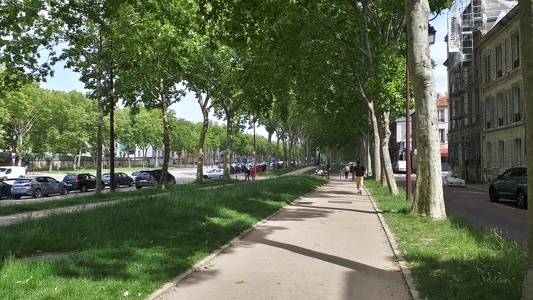 Avenue de Paris à Versailles